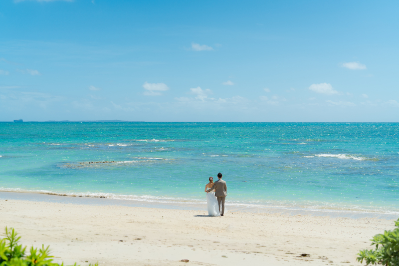 【沖縄本島の素敵な花について】沖縄ならではの植物をご紹介します♬