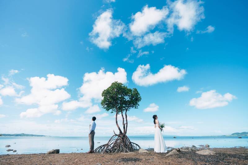 9月以降のご予約がおすすめ!