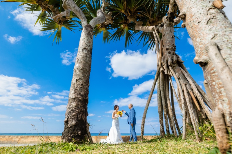 【おすすめ観光スポット〜自然・文化編〜】沖縄の観光スポットをご紹介!