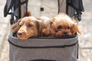 Hello！September♬