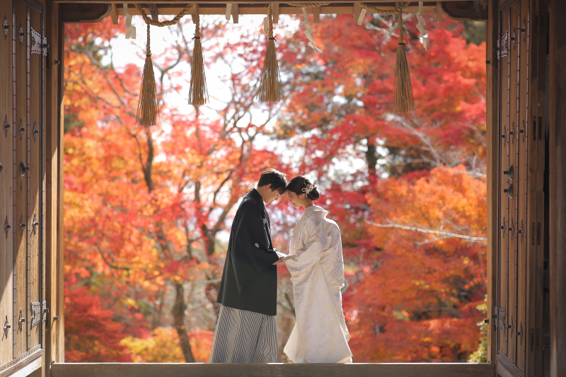 °˖✧秋の紅葉ロケ地✧˖°
