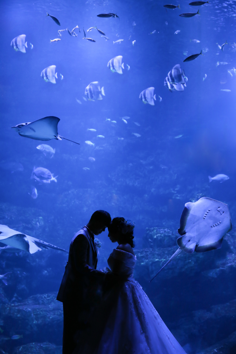 【NEWリリース!】京都水族館ロケプラン