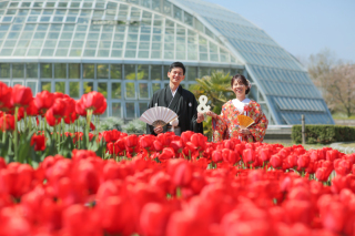 3月8日はみつばちの日ʚɞ