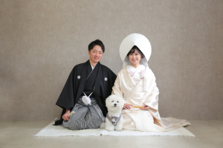 毎月12日はわんにゃんの日.ᐟ