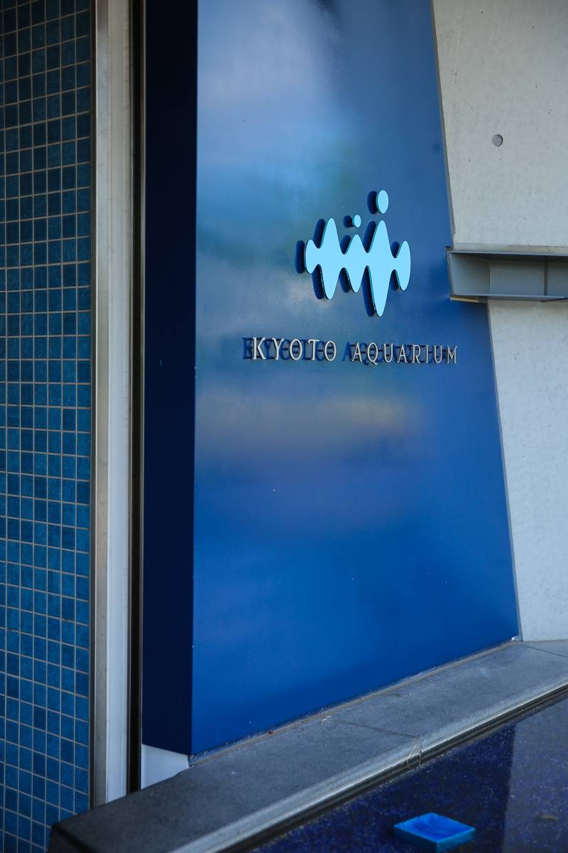 【NEWリリース!】京都水族館ロケプラン