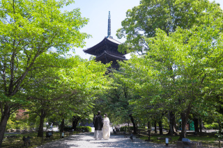 東寺の＂新緑＂
