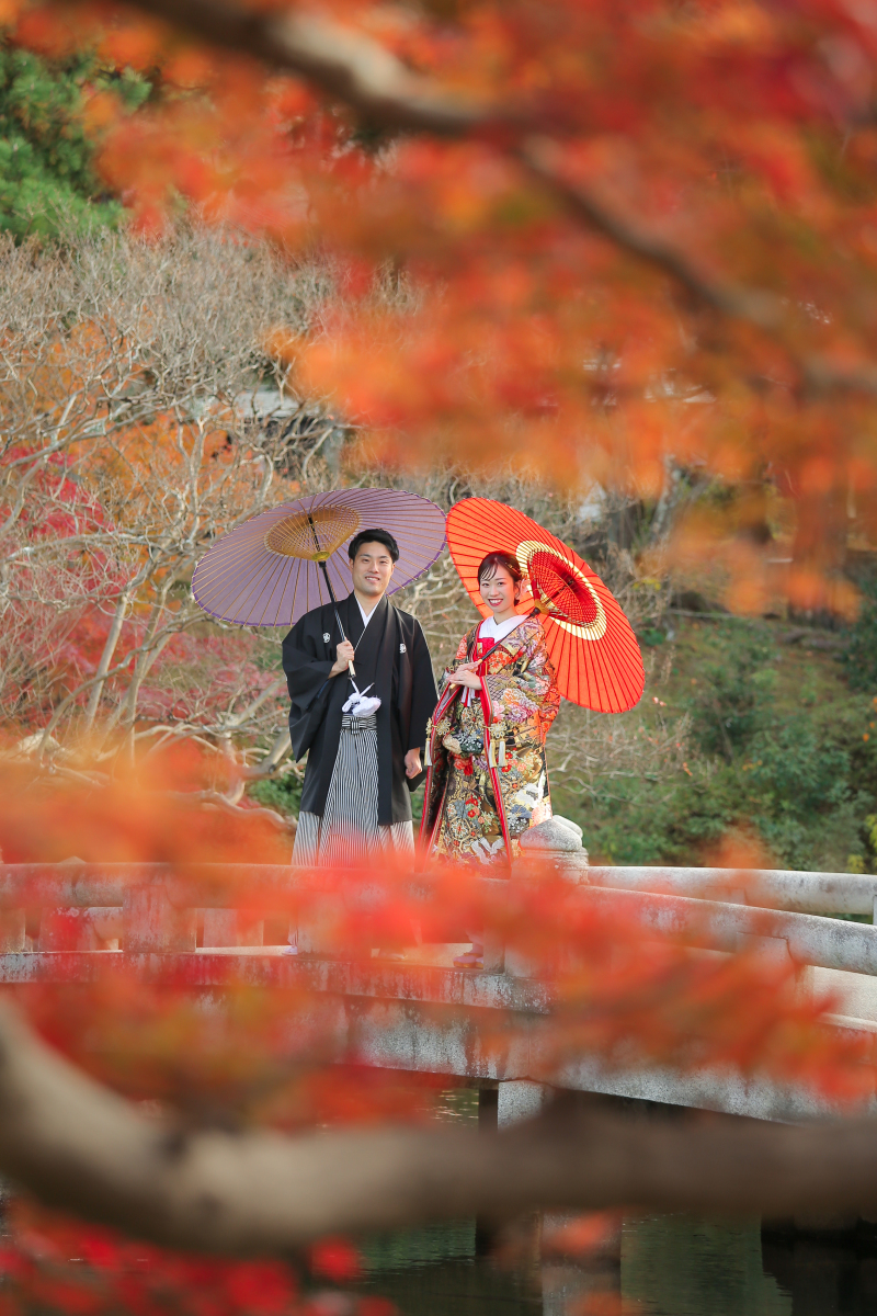 ストーリーテラーの紅葉撮影スポット ꐕ ꐕ//