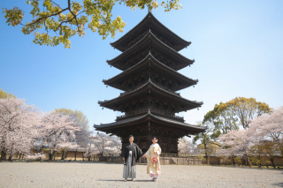 春のおすすめロケ地①❀*.゚