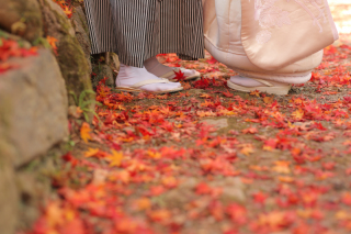 °˖✧秋の紅葉ロケ地✧˖°