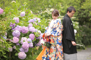 紫陽花ロケはいかがですか?ꕤ୭*