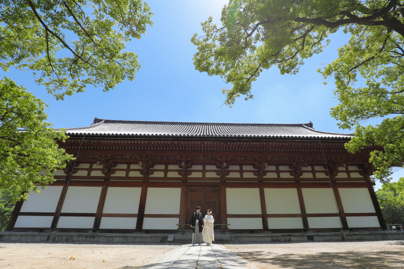 東寺の＂新緑＂
