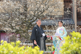 梅がもうすぐ…♡