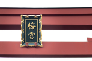 撮影レポート更新しました.ᐟ.ᐟ