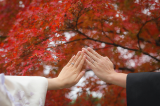 ˗ˏˋ Instagram随時更新中 ˎˊ˗