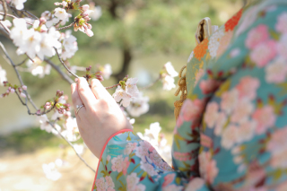 衣裳紹介 N-456【小花の彩り】