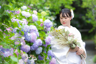 紫陽花ロケはいかがですか?ꕤ୭*