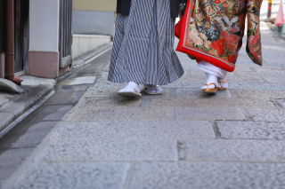 衣裳紹介 WI-020【飛鶴花車】