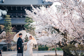 桜早期お申込割campaign　２月までのお申込の方限定です