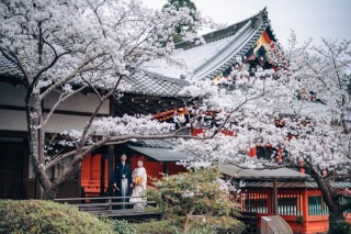 桜の季節綺麗なロケ地特集Part1