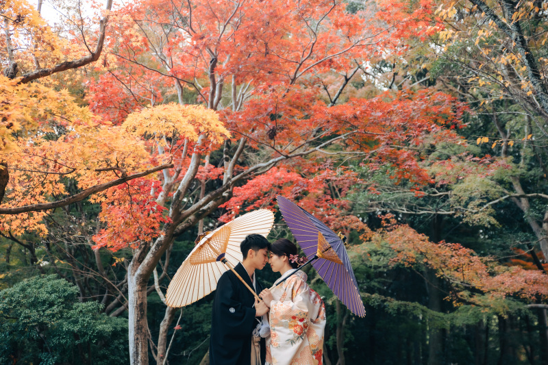 紅葉シーズンロケーション地【大原野神社】