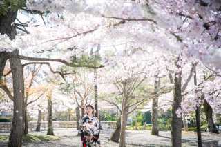 残り僅か桜撮影お早めに！！