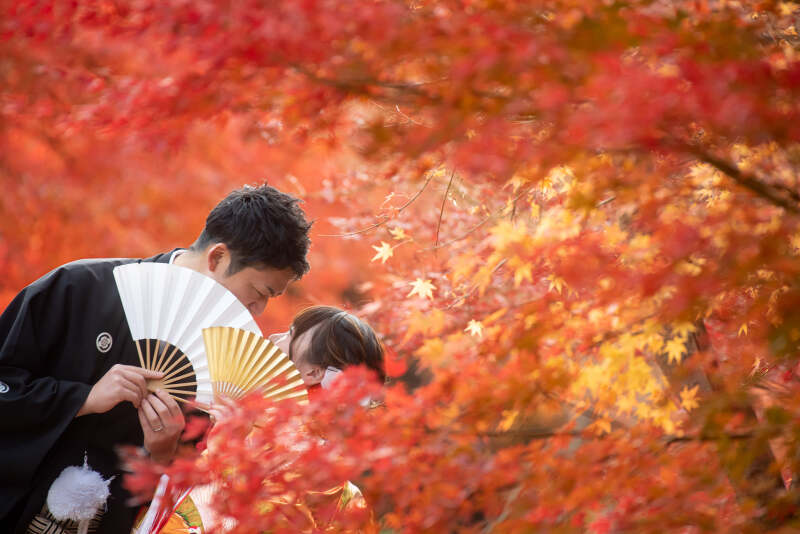 10月後半から12月前半《紅葉シーズンもまだご予約可能》空き状況