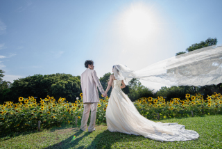 ひまわり季節の洋装撮影会を開始