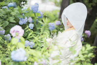 紫陽花の大阪城