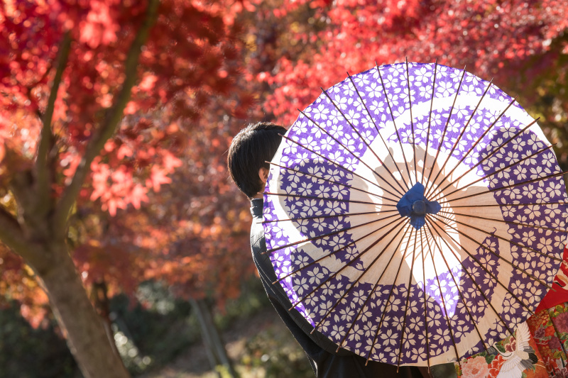 紅葉シーズンのロケーション見本のご紹介（一例となります）