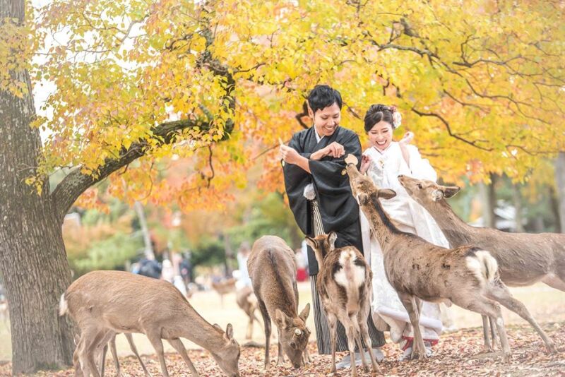 紅葉シーズンはこれからまだご予約可能となります