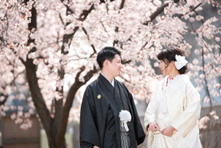 まだ間に合う桜シーズン&春の景観撮影申し込み