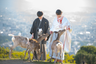 鹿さんと仲良く撮影できる