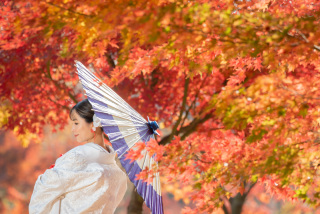 紅葉シーズン和装プランご予約可能日