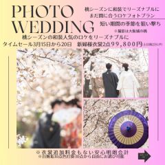 3月15日から3月20日迄の特別プラン