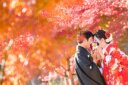 ロケフォト紅葉も価格変わらず！ご予約もまだ可能です