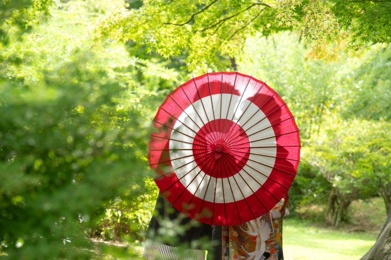 夏の大仙公園