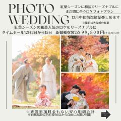 まだまだ紅葉が楽しめてもったいないので