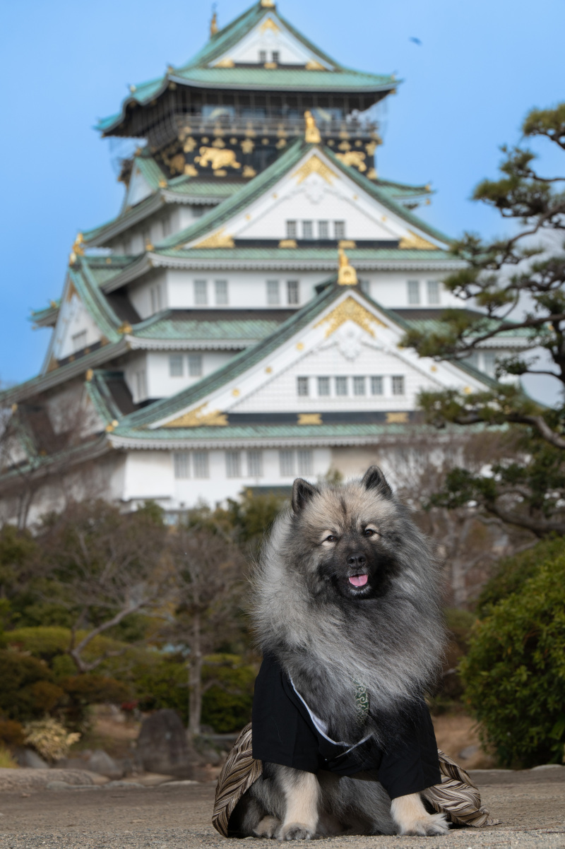 わんちゃんも大切な家族、一緒に撮影しました