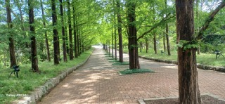 神戸森林植物園にロケハン