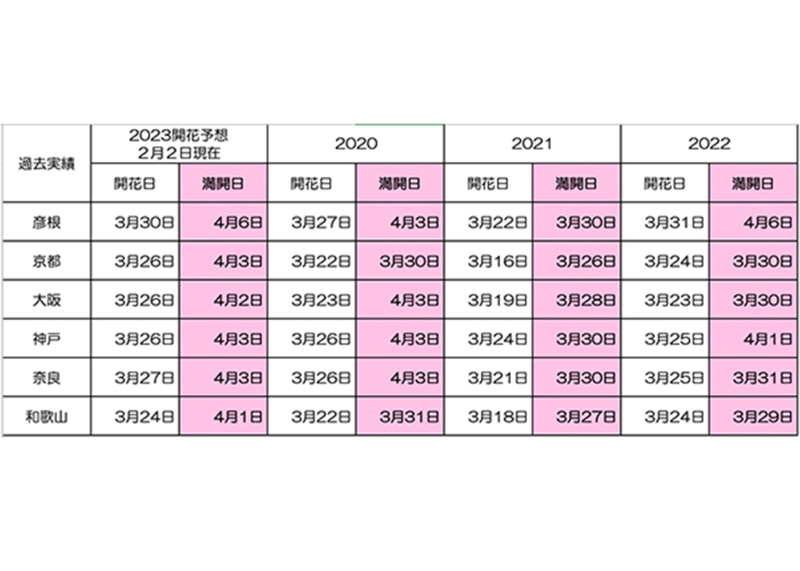 桜開花のご参考