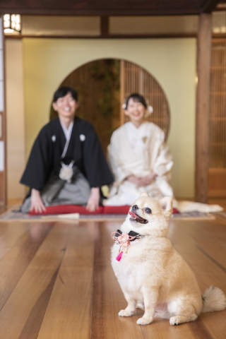 7月はじまりました