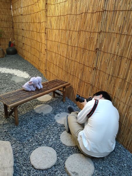 おいしいご飯が食べたい