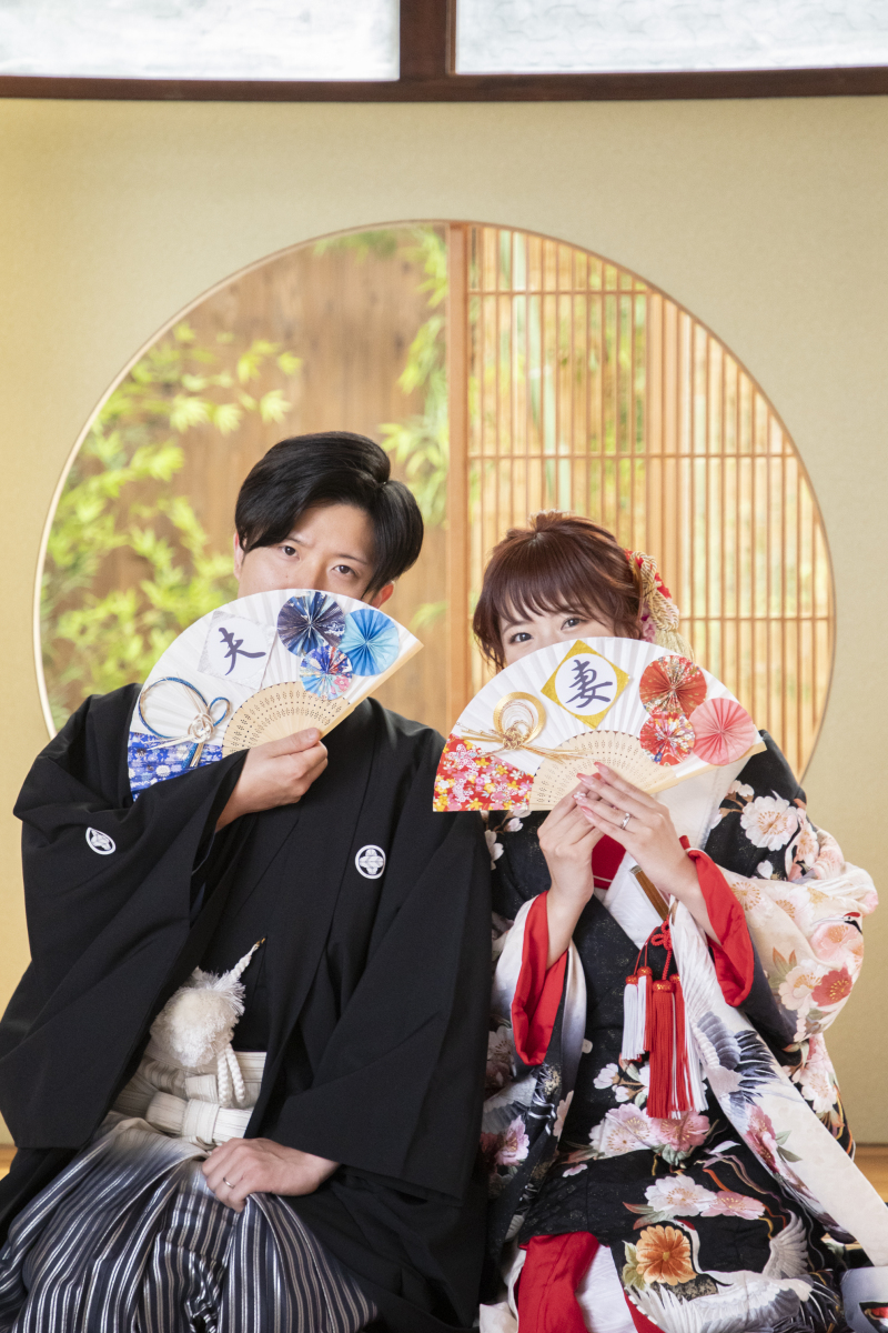 限定プラン!