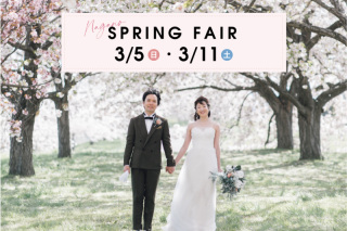 SPRING FAIR