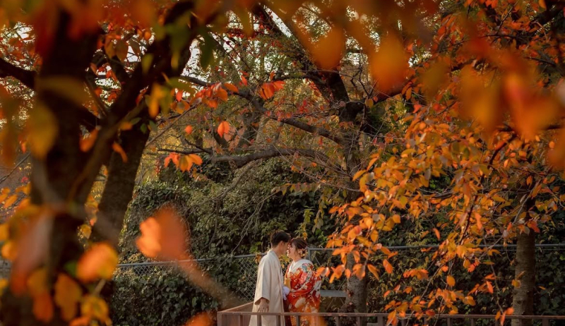今年もやってきた!紅葉の時期!