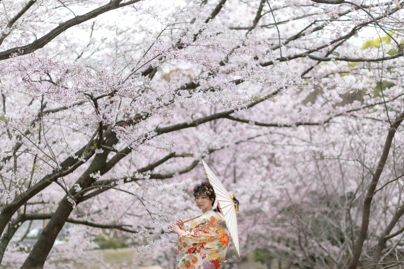 【Studio Clori.】満開の桜を背景に!春のご予約スタートしてます!