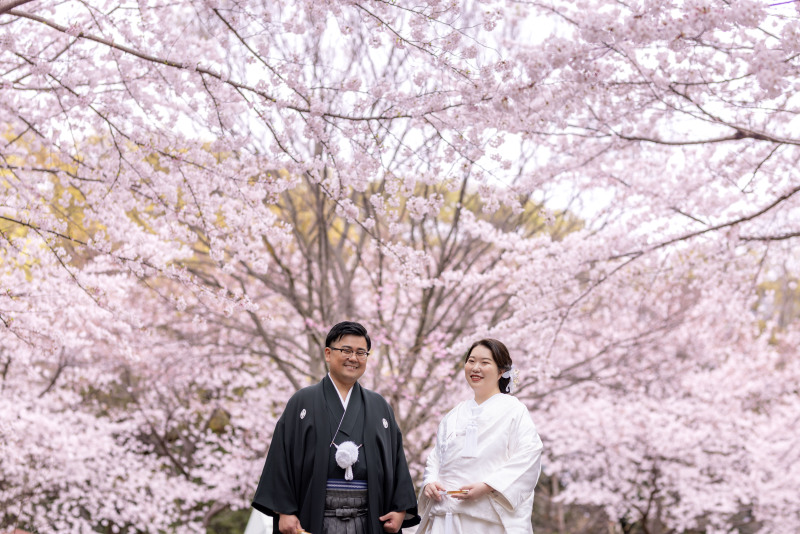 最新！大阪城公園の桜×白無垢