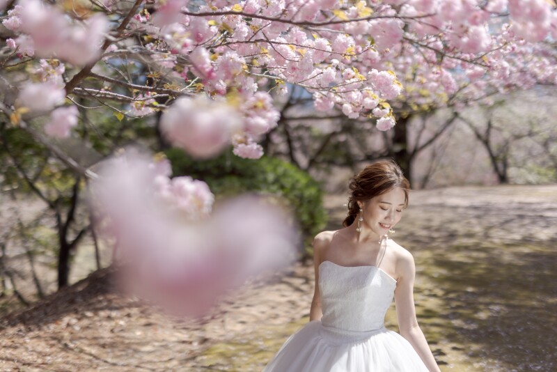 【Studio Clori.】桜シーズンまで後少し！ 〜桜×ドレス〜