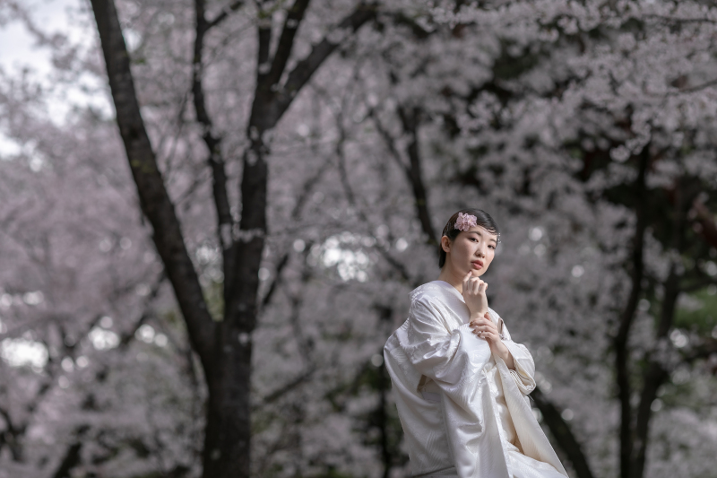 【StudioClori.】期間限定！残りわずかのお得な桜フォトプラン♪