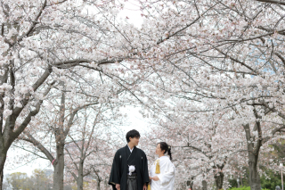 【studio clori.】もうすぐシーズン到来！？桜ロケのご紹介